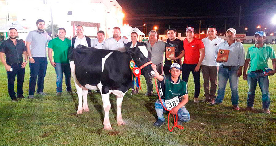 FEDEPLE expuso bovinos de alta genética durante el juzgamiento de razas lecheras en AGROPECRUZ 2019